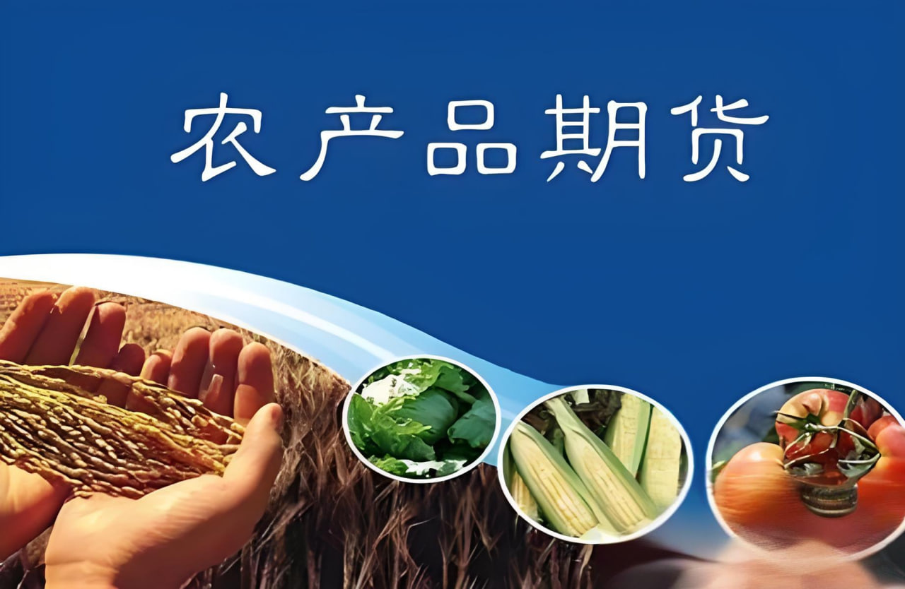 期货直播室 - 鸡蛋期货窄幅波动，供需格局相对稳定，鸡蛋期货视频